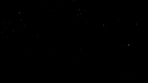 Natural Organic Dust Particles Float On Black Background. Dust In Motion. Vidéo 314200955