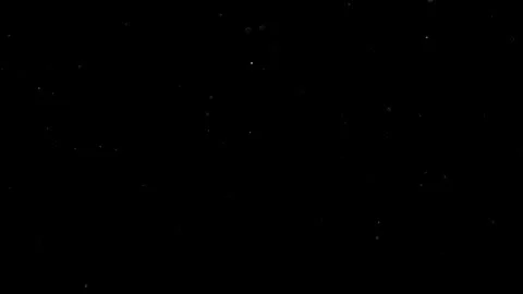 Natural Organic Dust Particles Float On Black Background. Dust In Motion. 库存影片 314200959