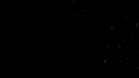 Natural Organic Dust Particles Float On Black Background. Dust In Motion. Stock Footage 314200960