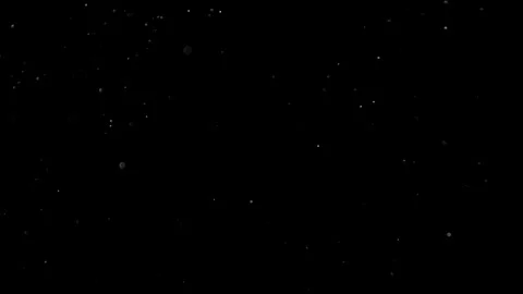 Natural Organic Dust Particles Float On Black Background. Dust In Motion. Stock Footage 314200961