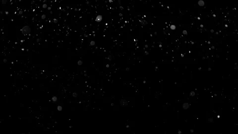Natural Organic Dust Particles Float On Black Background. Dust In Motion. Vidéo 314200963