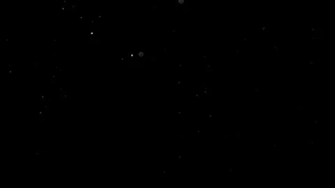 Natural Organic Dust Particles Float On Black Background. Dust In Motion. Vidéo 314200975