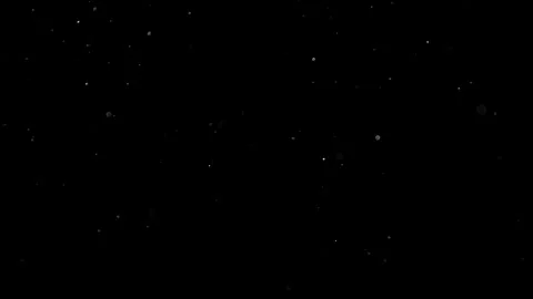 Natural Organic Dust Particles Float On Black Background. Dust In Motion. Stock Footage 314200982