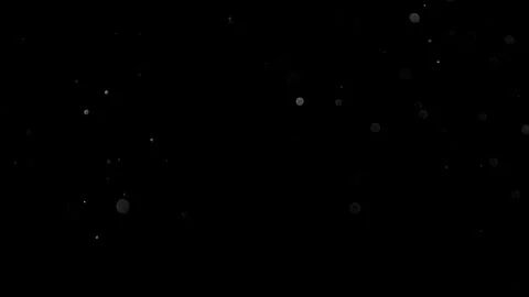 Natural Organic Dust Particles Float On Black Background. Dust In Motion. Stock Footage 314200992