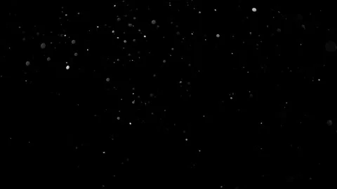 Natural Organic Dust Particles Float On Black Background. Dust In Motion. Stock Footage 314200995