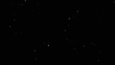 Natural Organic Dust Particles Floating On Black Background. Stock Footage 239405545