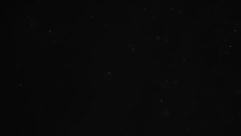 Natural Organic Dust Particles Floating On Black Background Video stock 246770742