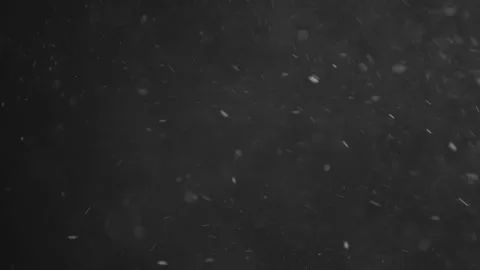 Natural Organic Dust Particles Floating On Black Background Video stock 246770809