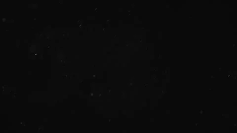 Natural Organic Dust Particles Floating On Black Background Video stock 246770900