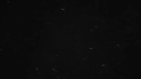 Natural Organic Dust Particles Floating On Black Background Video stock 246770909