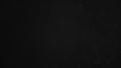 Natural Organic Dust Particles Floating On Black Background Video stock 246770912