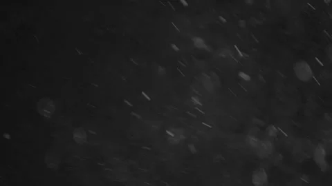 Natural Organic Dust Particles Floating On Black Background Video stock 246770913