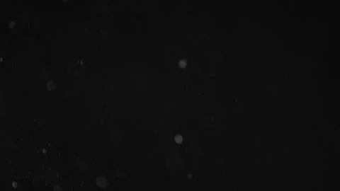 Natural Organic Dust Particles Floating On Black Background Stock Footage 246770946