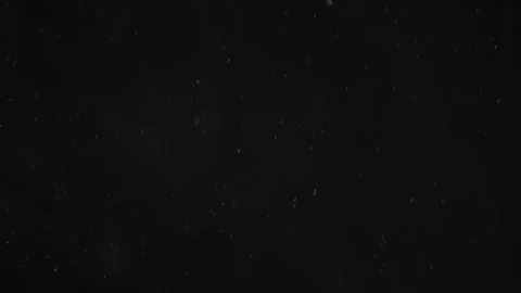 Natural Organic Dust Particles Floating On Black Background Stock Footage 246770962