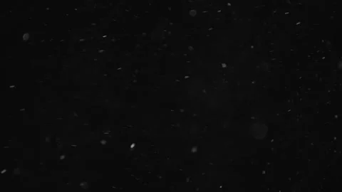 Natural Organic Dust Particles Floating On Black Background Stock Footage 246770978