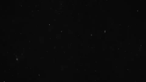 Natural Organic Dust Particles Floating On Black Background Stock Footage 246771055
