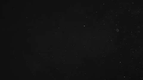Natural Organic Dust Particles Floating On Black Background Video stock 246771078
