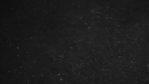 Natural Organic Dust Particles Floating On Black Background Stock Footage 246771153