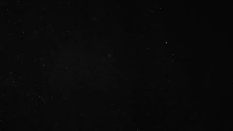 Natural Organic Dust Particles Floating On Black Background Video stock 246771209
