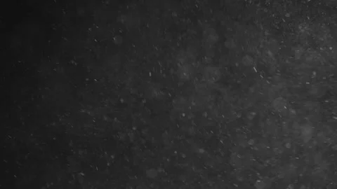 Natural Organic Dust Particles Floating On Black Background Video stock 246771250