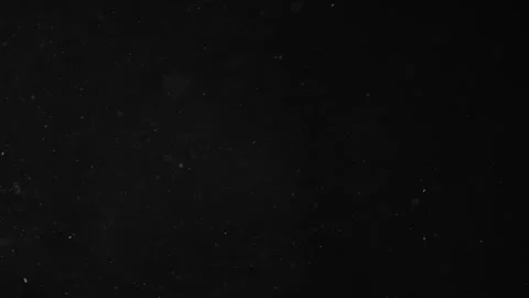 Natural Organic Dust Particles Floating On Black Background Stock Footage 246796165