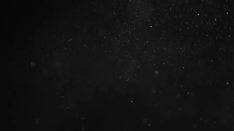 Natural Organic Dust Particles Floating On Black Background Stock Footage 246796558