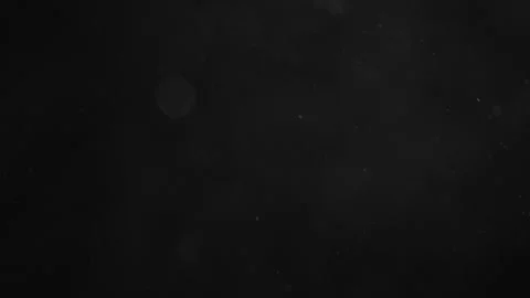 Natural Organic Dust Particles Floating On Black Background Stock Footage 246797053