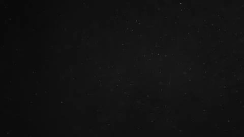 Natural Organic Dust Particles Floating On Black Background Stock Footage 246797242