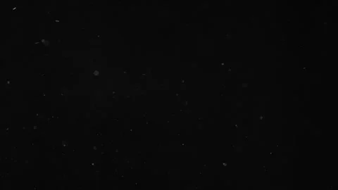 Natural Organic Dust Particles Floating On Black Background Stock Footage 246797479