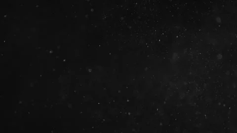 Natural Organic Dust Particles Floating On Black Background Stock Footage 246797818