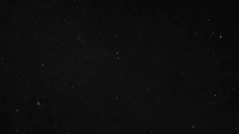 Natural Organic Dust Particles Floating On Black Background Stock Footage 246797866