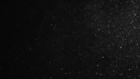 Natural Organic Dust Particles Floating Video stock 247330343