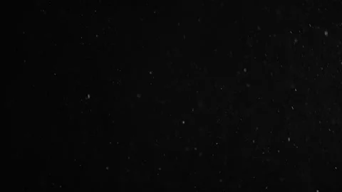 Natural Organic Dust Particles Floating Video stock 247330530