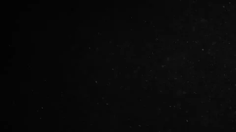 Natural Organic Dust Particles Floating On Black Background Video stock 247330604