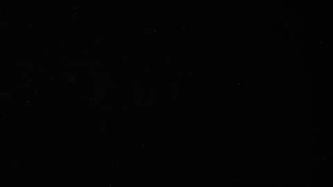 Natural Organic Dust Particles Floating On Black Background Stock-Footage 247330621