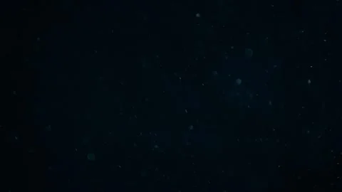 Natural Organic Dust Particles Floating On Black Background Stock Footage 247772159