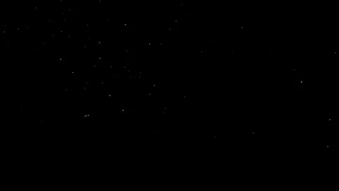 Natural Organic Dust Particles Floating Against A Solid Black Background Video stock 297643948