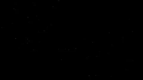 Natural Organic Dust Particles Floating Against A Solid Black Background Video stock 297643949