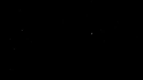 Natural Organic Dust Particles Floating Against A Solid Black Background Video stock 297643952