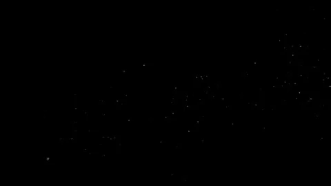 Natural Organic Dust Particles Floating Against A Solid Black Background Video stock 297643955
