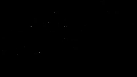 Natural Organic Dust Particles Floating Against A Solid Black Background Video stock 297643959