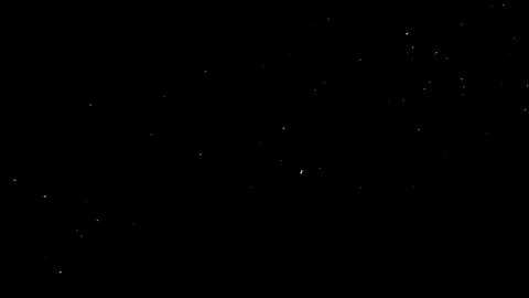 Natural Organic Dust Particles Floating Against A Solid Black Background Stock Footage 297643960