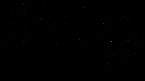 Natural Organic Dust Particles Floating Against A Solid Black Background Video stock 297643963