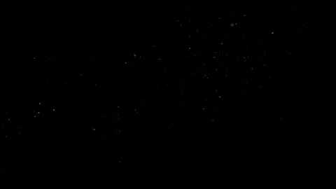 Natural Organic Dust Particles Floating Against A Solid Black Background Video stock 297643973