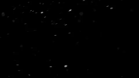 Natural Organic Dust Particles Floating Against A Solid Black Background Stock-Footage 297643976