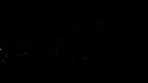 Natural Organic Dust Particles Floating Against A Solid Black Background Stock Footage 297643977