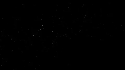 Natural Organic Dust Particles Floating Against A Solid Black Background Stock Footage 297643979