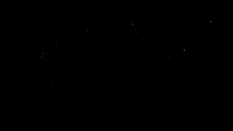 Natural Organic Dust Particles Floating Against A Solid Black Background Video stock 297643983