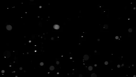 Natural Organic Dust Particles Floating Against A Solid Black Background Stock Footage 297643987