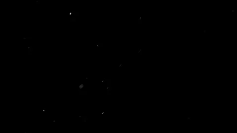 Natural Organic Dust Particles Floating Against A Solid Black Background Stock Footage 297643988